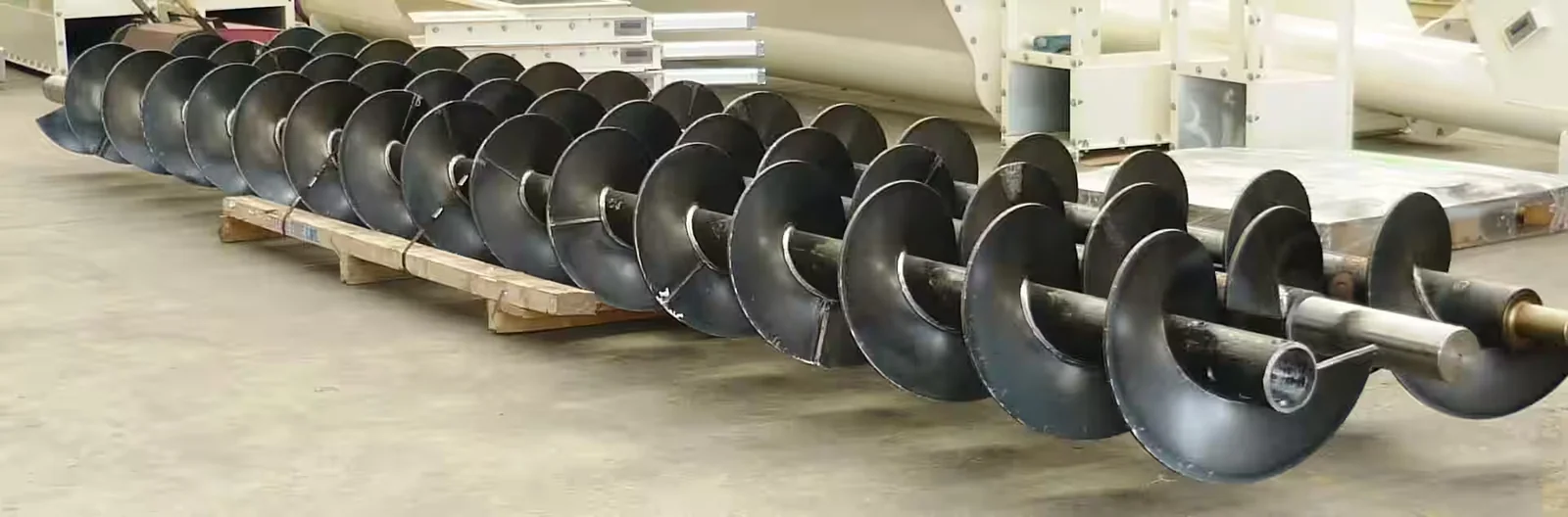 Row of spiral auger screws mounted on shafts